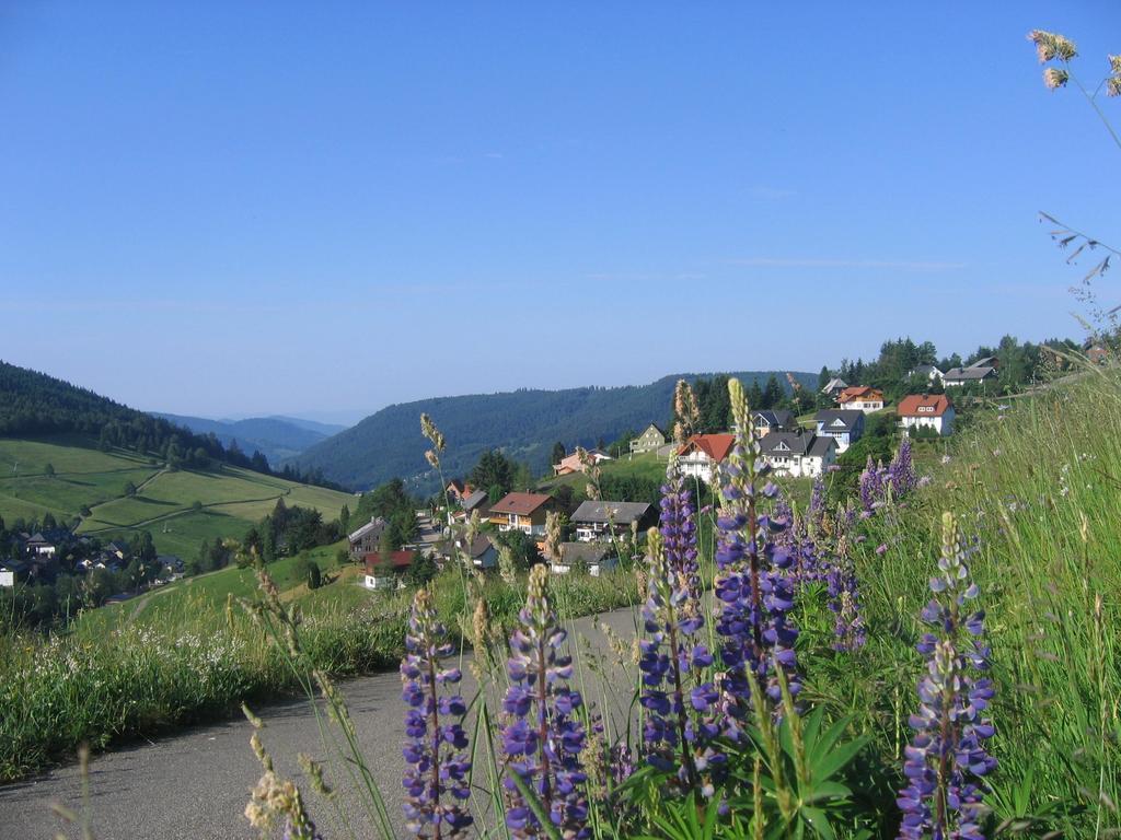 Haus Keller Ferienwohnungen Todtnauberg Exterior foto