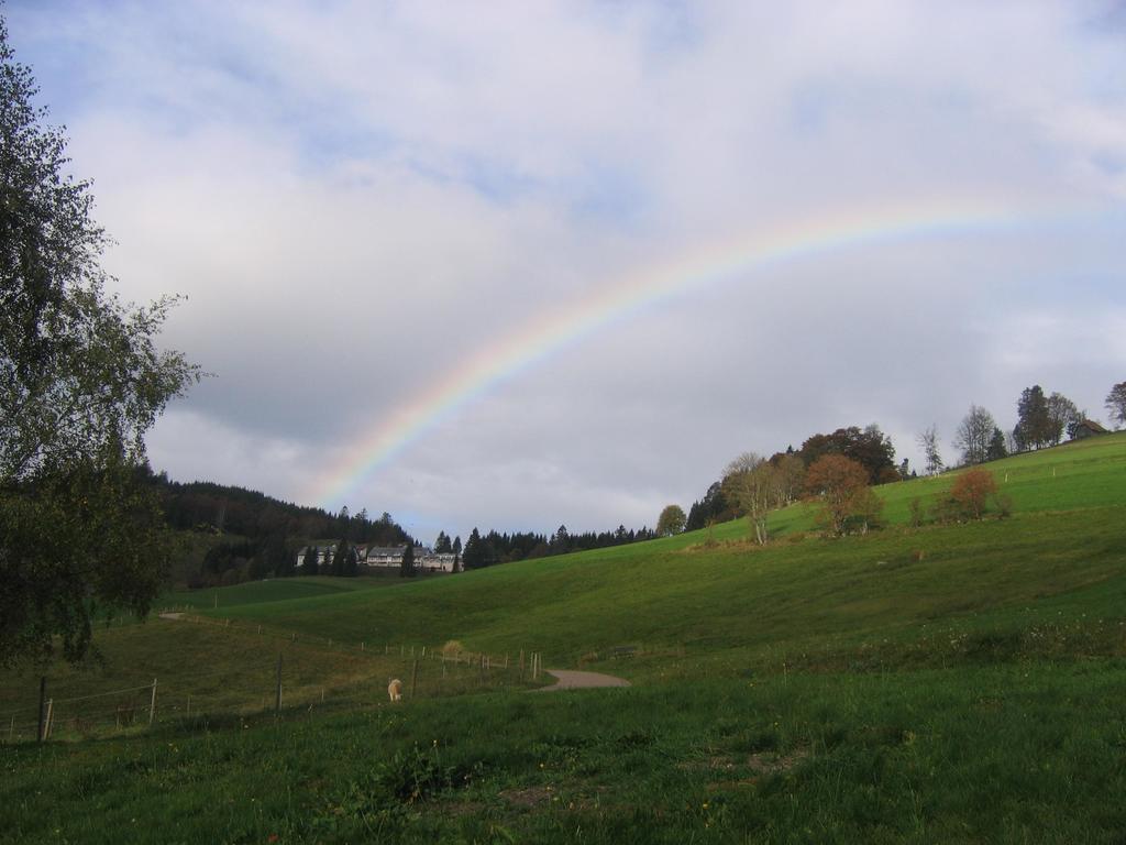 Haus Keller Ferienwohnungen Todtnauberg Exterior foto
