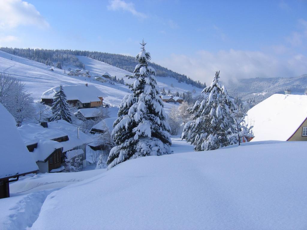 Haus Keller Ferienwohnungen Todtnauberg Exterior foto